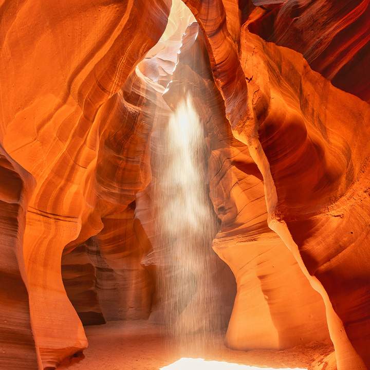 A Plan For Healing and Growth 50_50