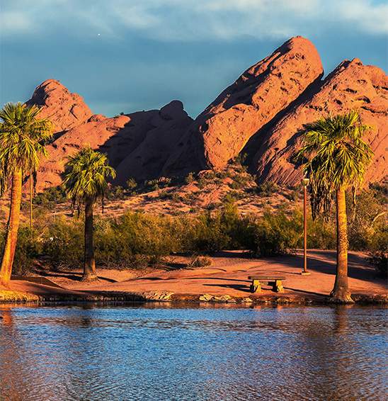 Adult Peer Specialists Tile