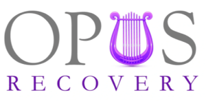 OPUS Business Logo